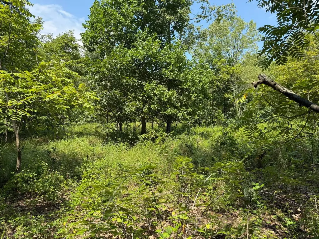 Picture 16