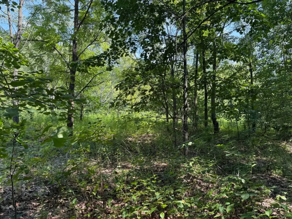 Picture 15