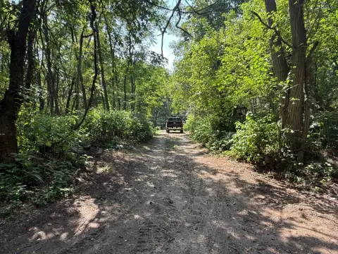 Hunting Land with Oak and Pine