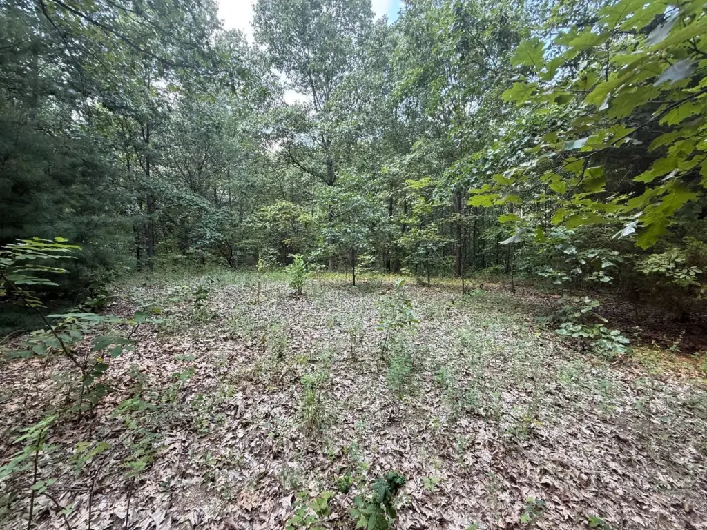 Picture 26