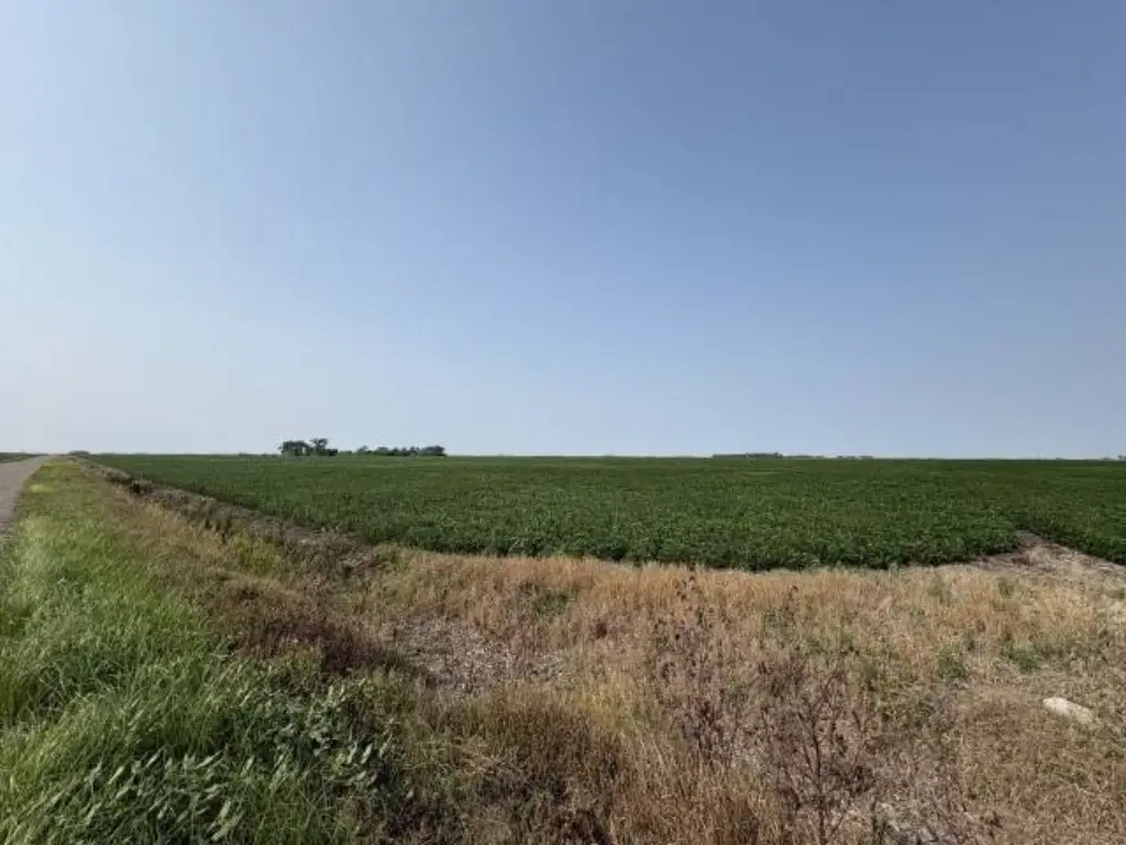 Picture 4