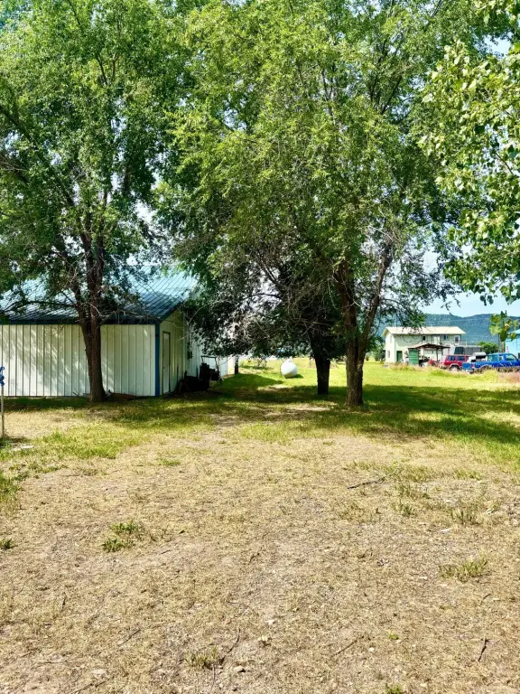 Picture 18