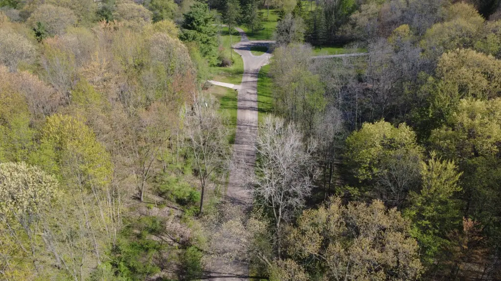 Picture 13