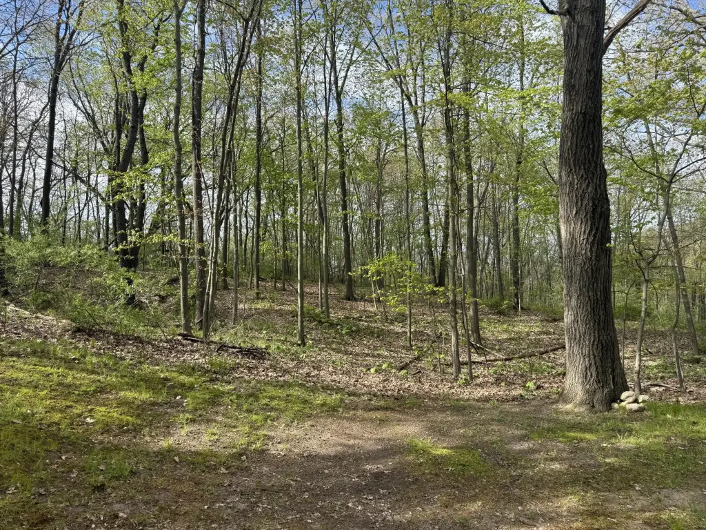 Picture 12