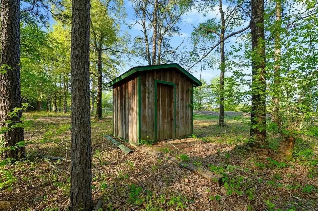 Picture 14