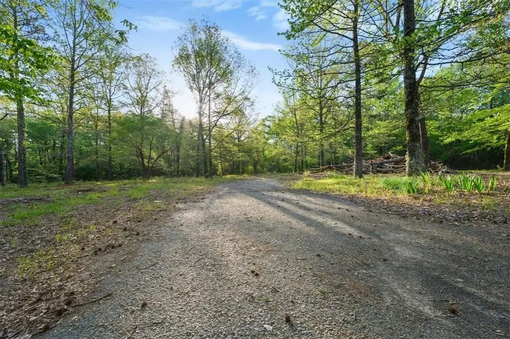 Picture 16