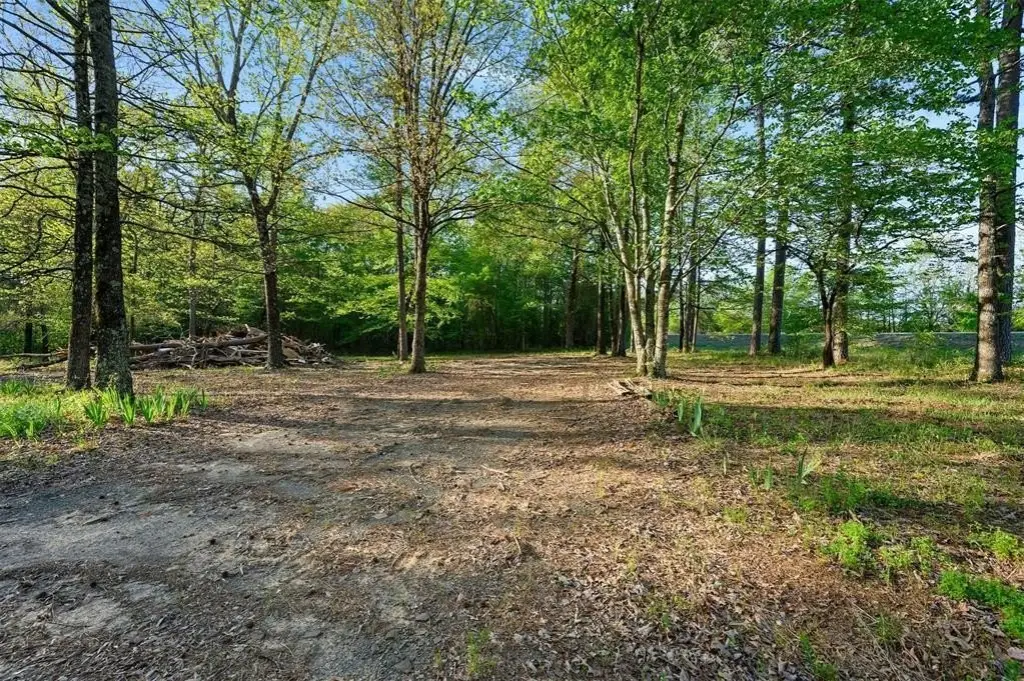 Picture 17