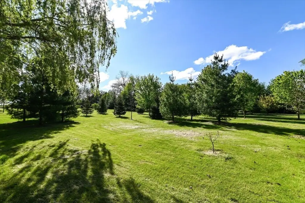 Picture 23