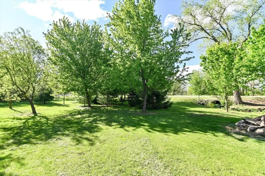 Picture 25