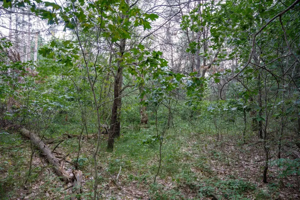 Picture 24