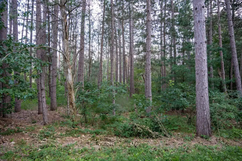Picture 22