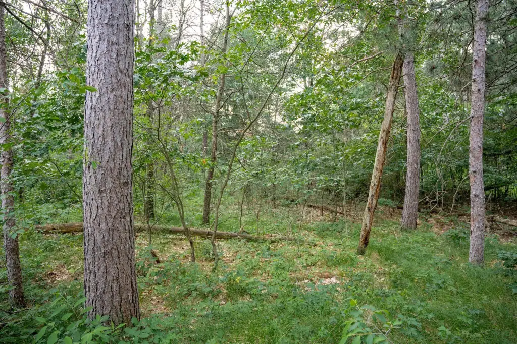 Picture 27
