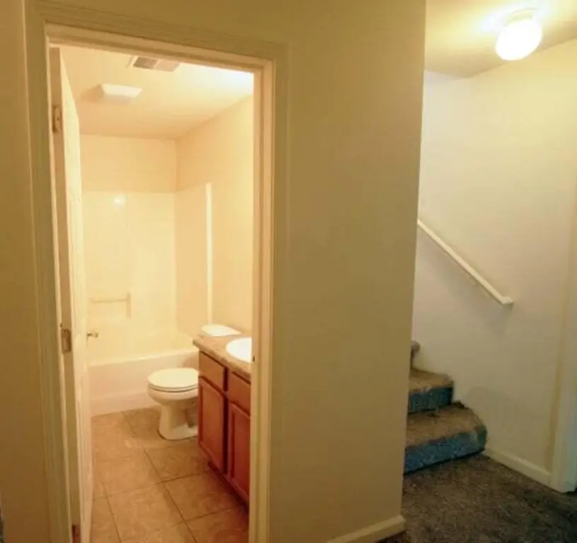 Picture 19