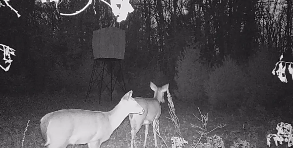 Picture 9