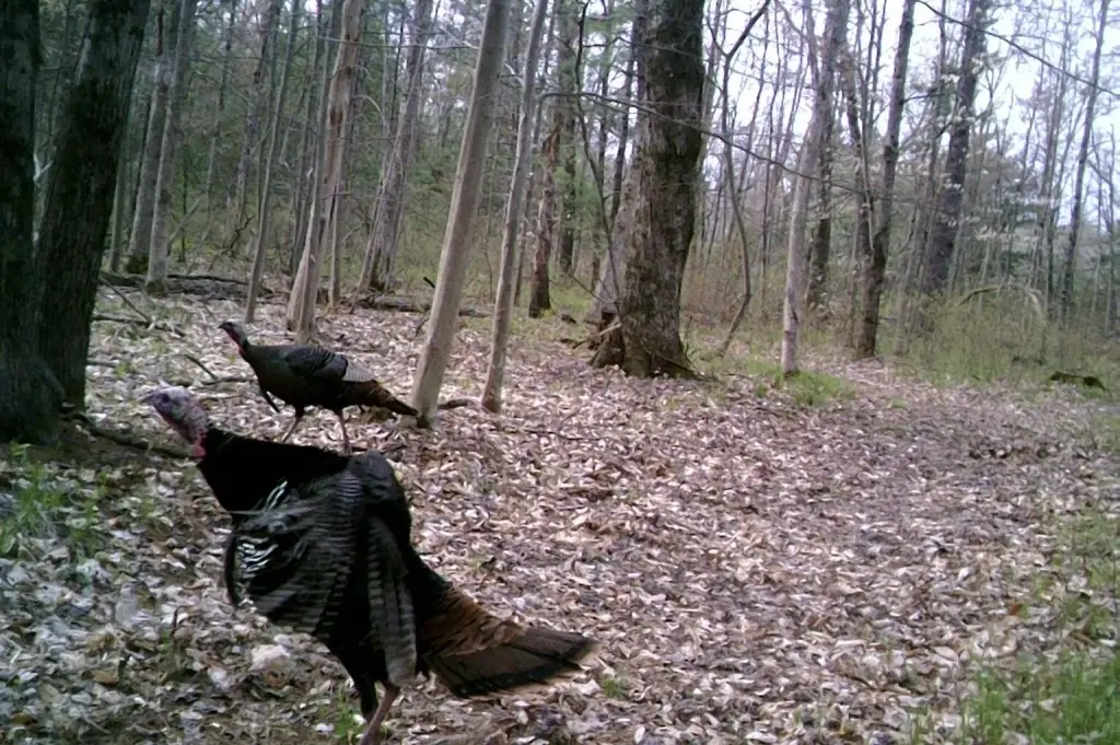 Picture 10