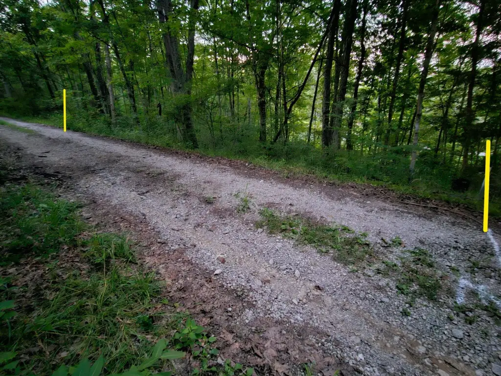 Picture 4