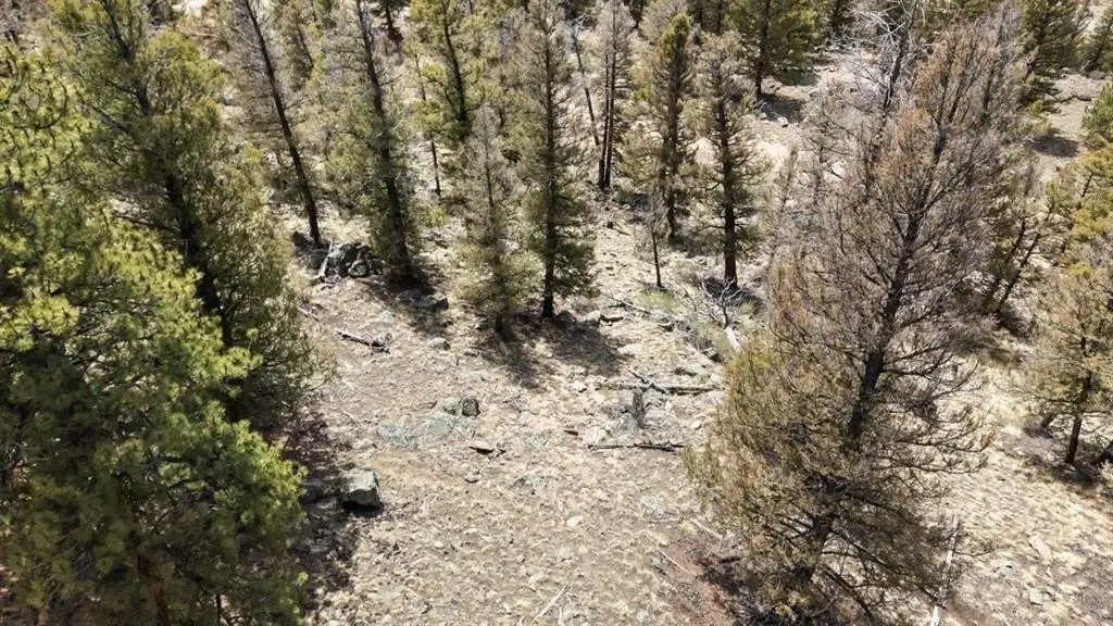 Picture 12