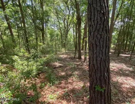 St. Helena Island Land Parcel