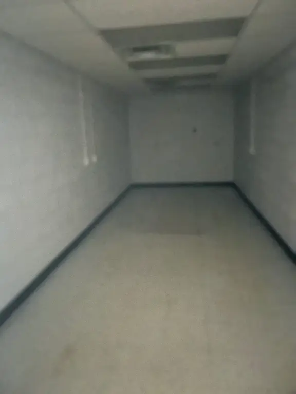 Picture 25