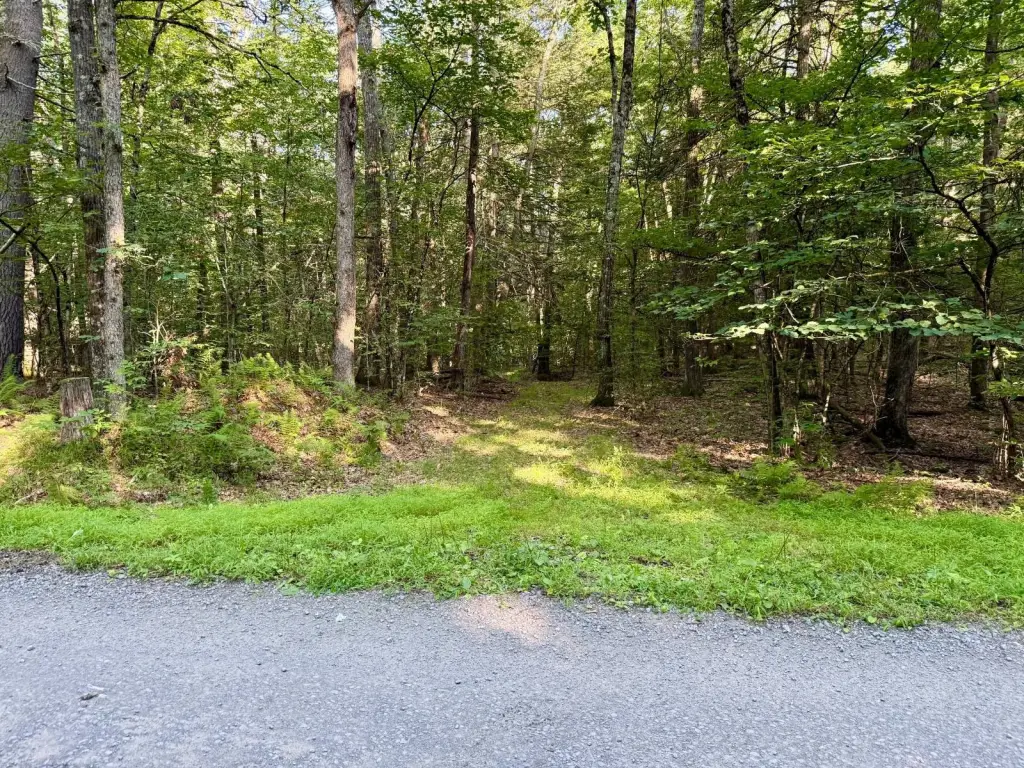 Picture 19