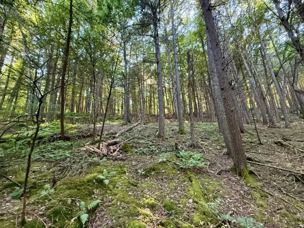 Picture 30