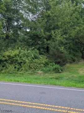 Undeveloped Land in Bridgewater Township