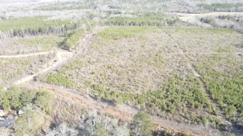 Residential Land in Millport, Alabama