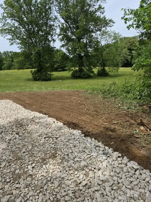 Picture 6
