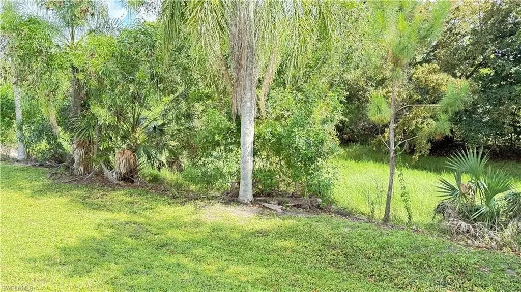 Picture 22