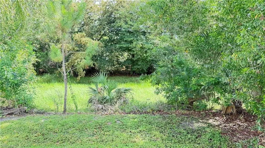Picture 23