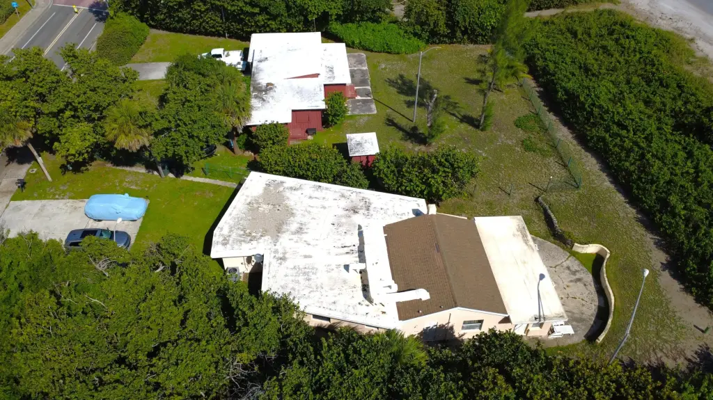 Picture 5