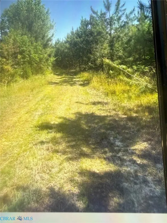 Picture 2