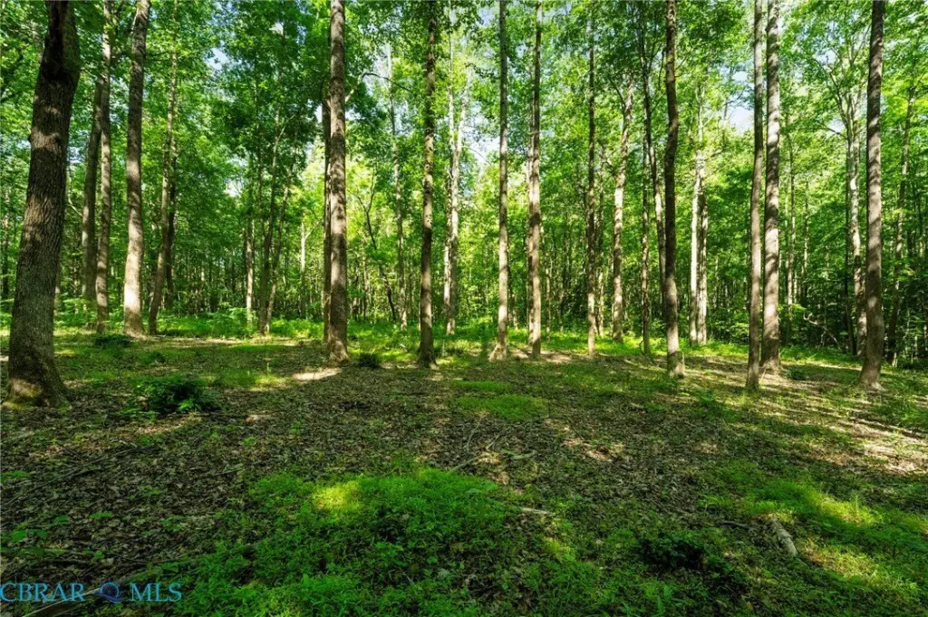 Picture 25