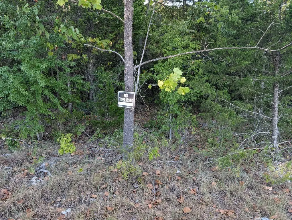 Picture 4
