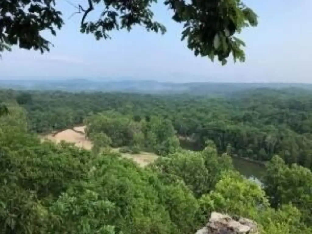 Picture 2