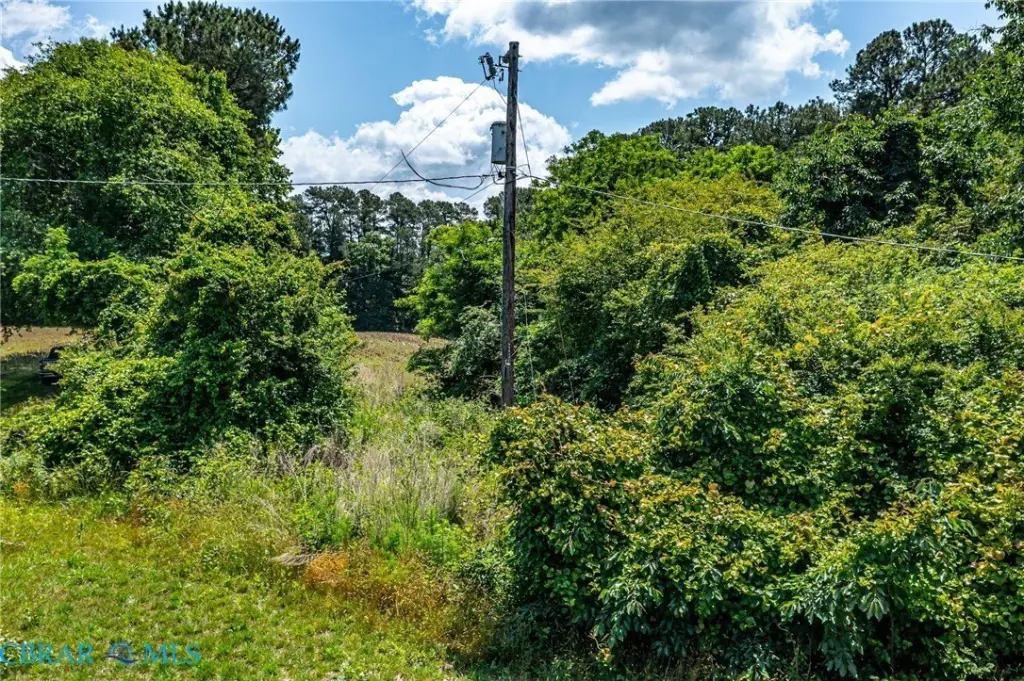 Picture 21