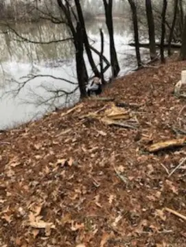 Hunters' Paradise on Little Red River