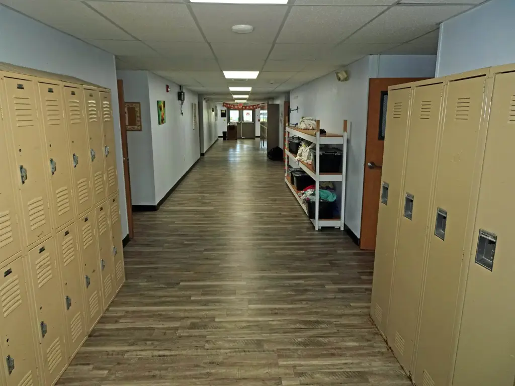 Picture 5