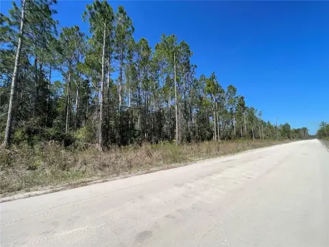 Prime Land in Pierson, FL