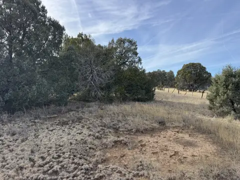 One Acre Tijeras Land