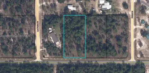 Keystone Heights Wooded Residential Lot