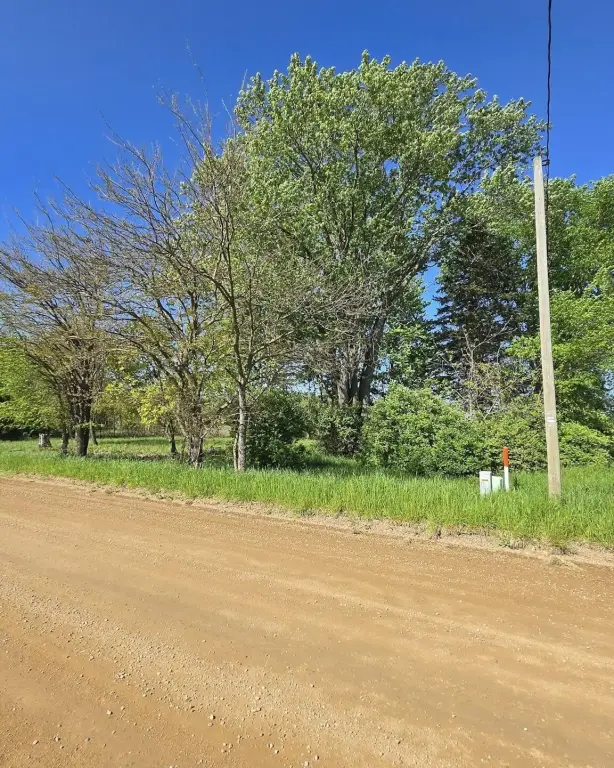 Picture 5