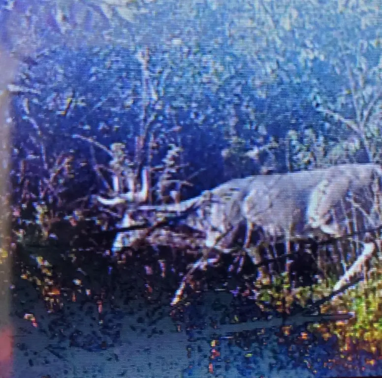 Picture 23