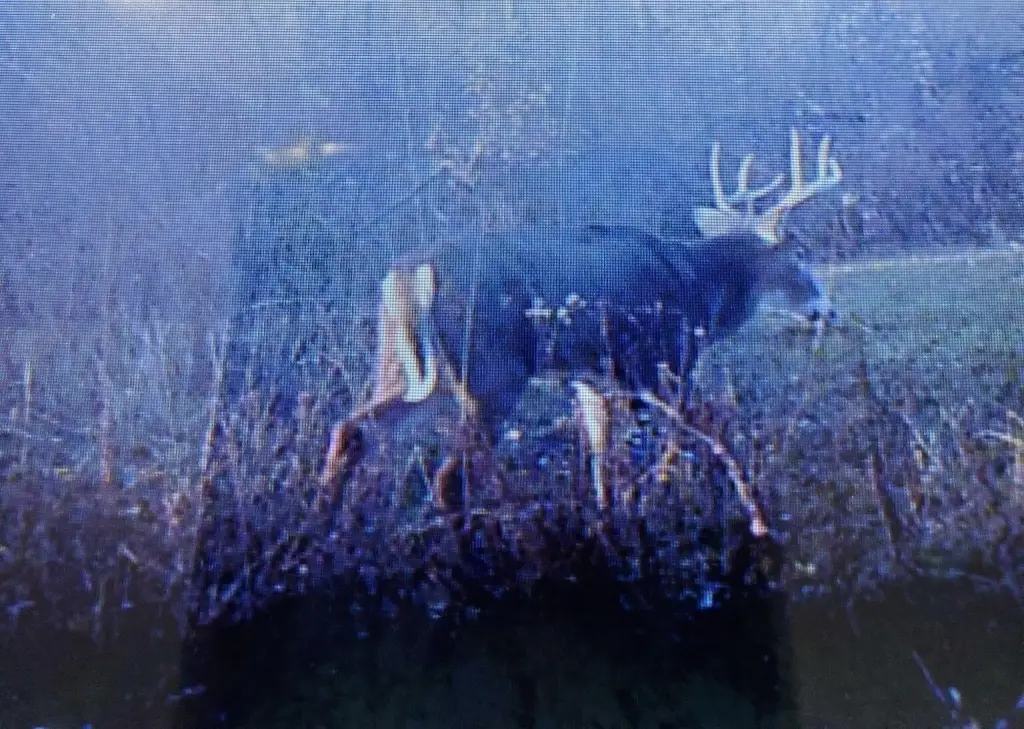 Picture 21