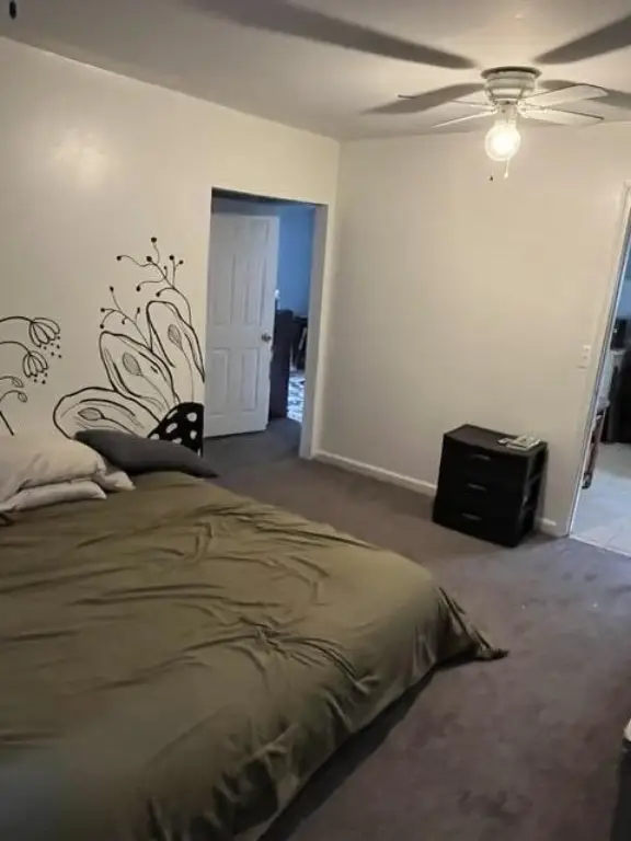 Picture 21