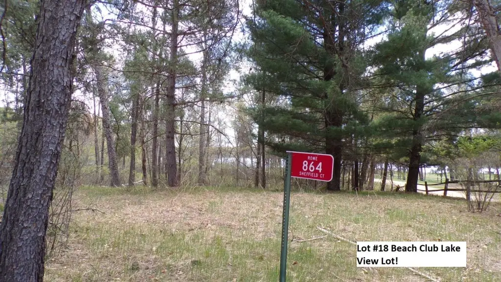 Picture 9