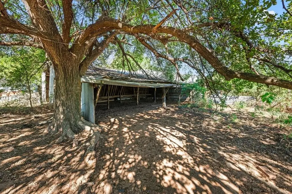 Picture 25