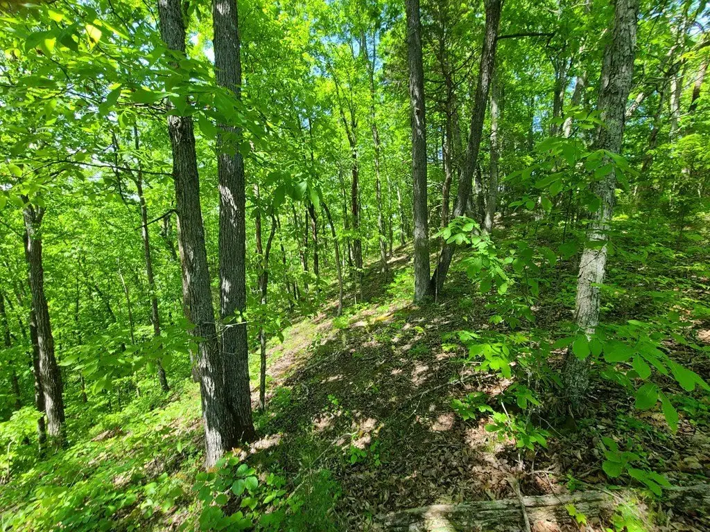 Picture 6