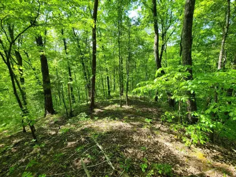 Secluded Acreage with Creek Access