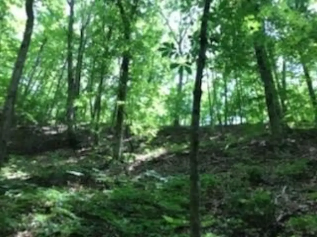 Picture 15